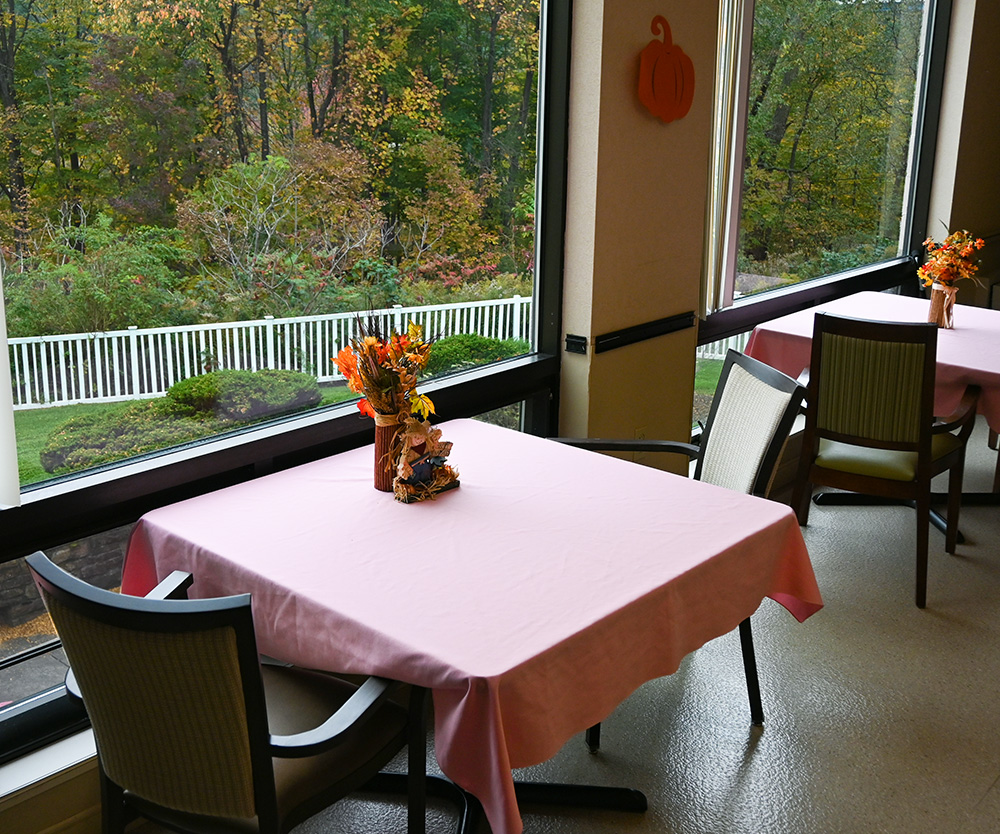 long term skilled nursing home in lancaster